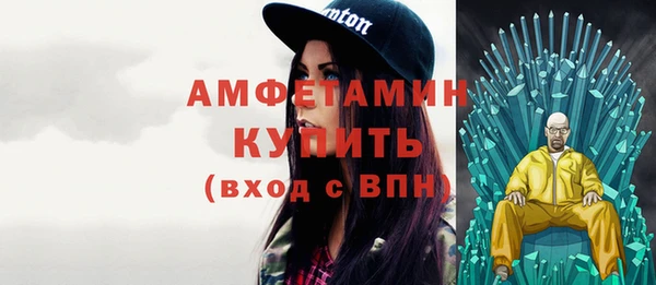 индика Нефтекумск