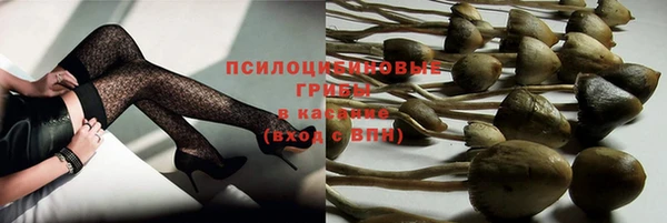 скорость Нея