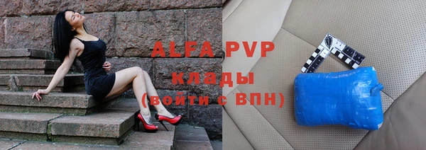 индика Нефтекумск