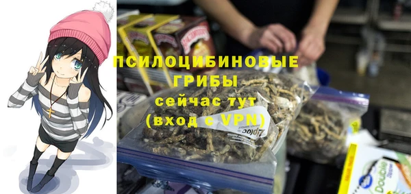 СК Нефтегорск
