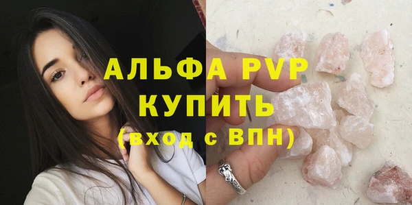 индика Нефтекумск