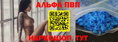 спайс Кингисепп