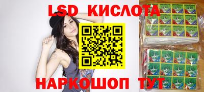спайс Кингисепп