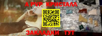 спайс Кингисепп