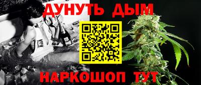 спайс Кингисепп