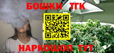 спайс Кингисепп