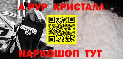 спайс Кингисепп