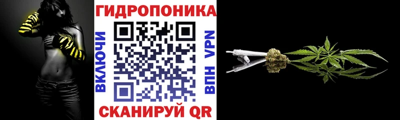 Шишки марихуана сатива  Долгопрудный 